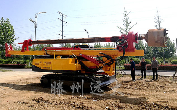 小型机锁杆草莓成人在线实物图